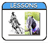 Private lessons group tuition, Showjumping, Dressage Training for exams. We do it all!